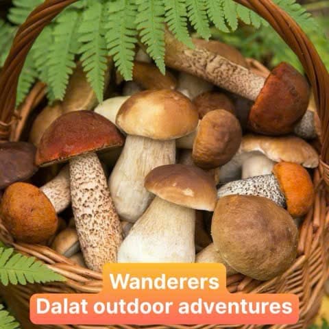 Wanderers - Dalat Outdoor Adventures