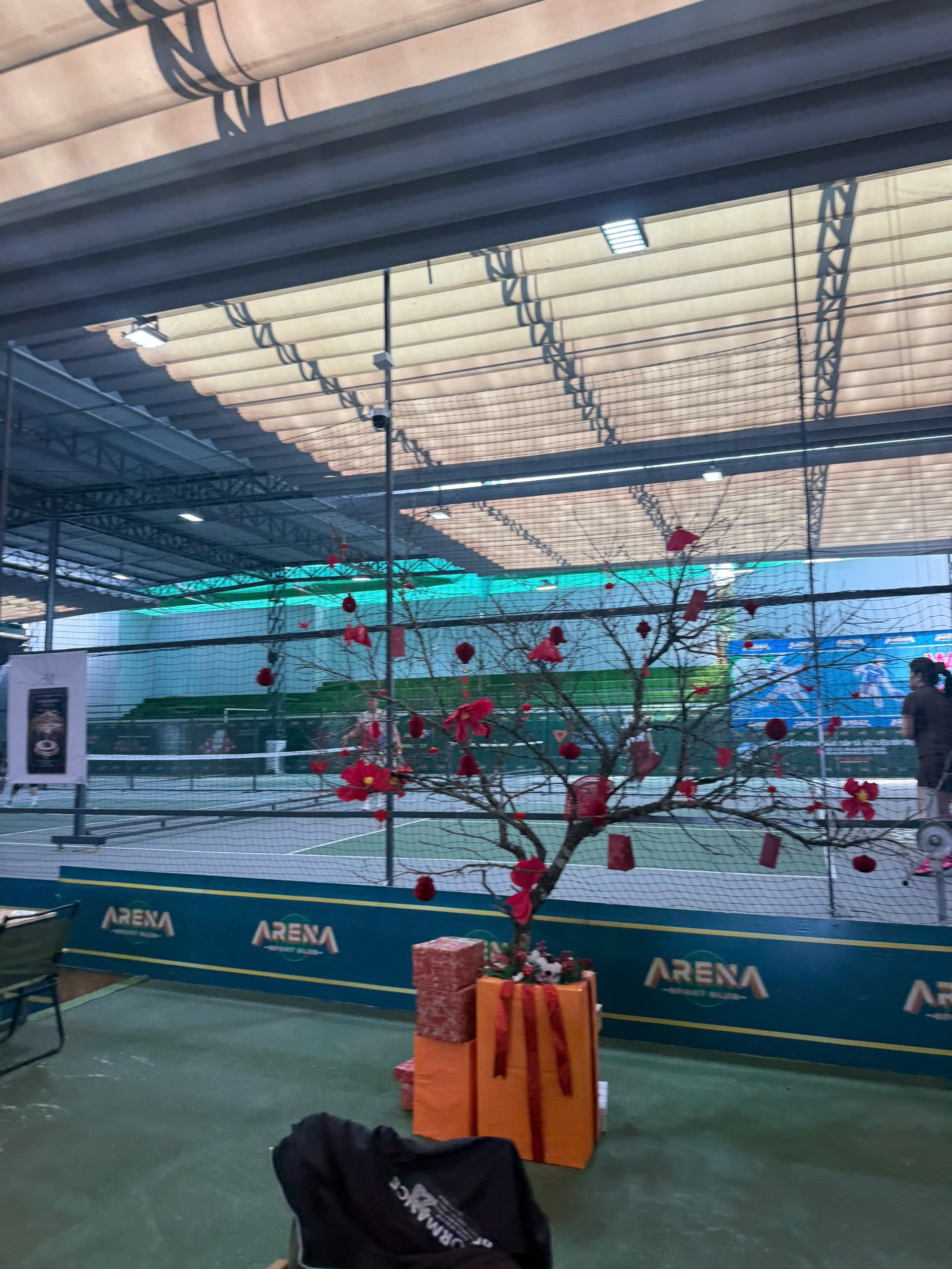 Social games together at Arena pickleball