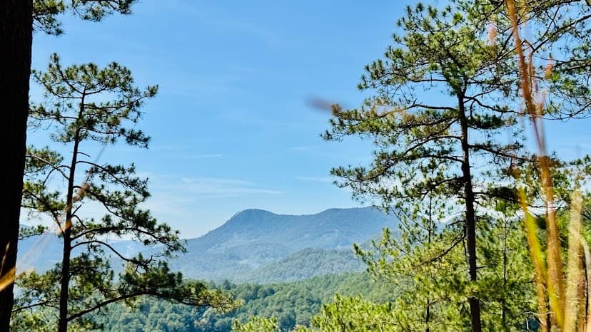 Moderate Hike to Doi Chim Hot - 2hours total