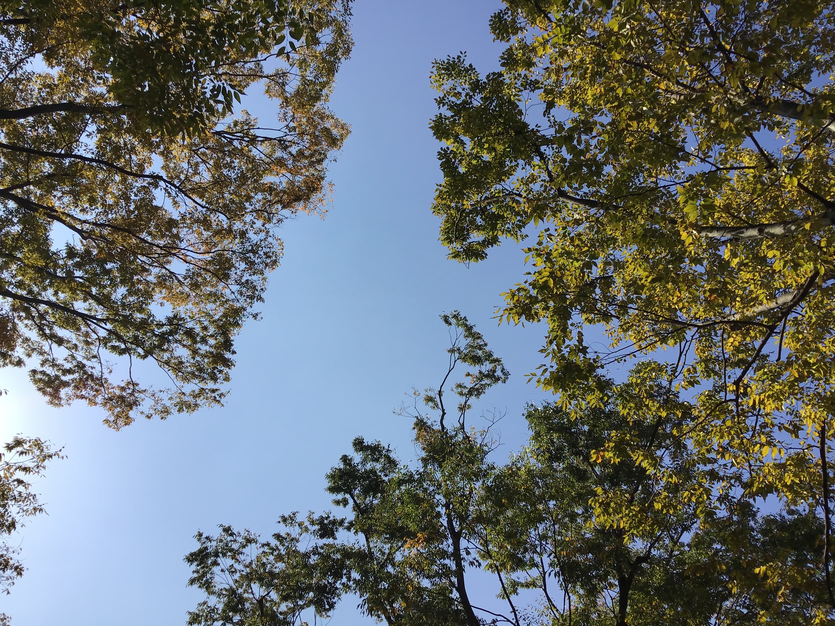 Forest walk near Tuyen Lam Lake