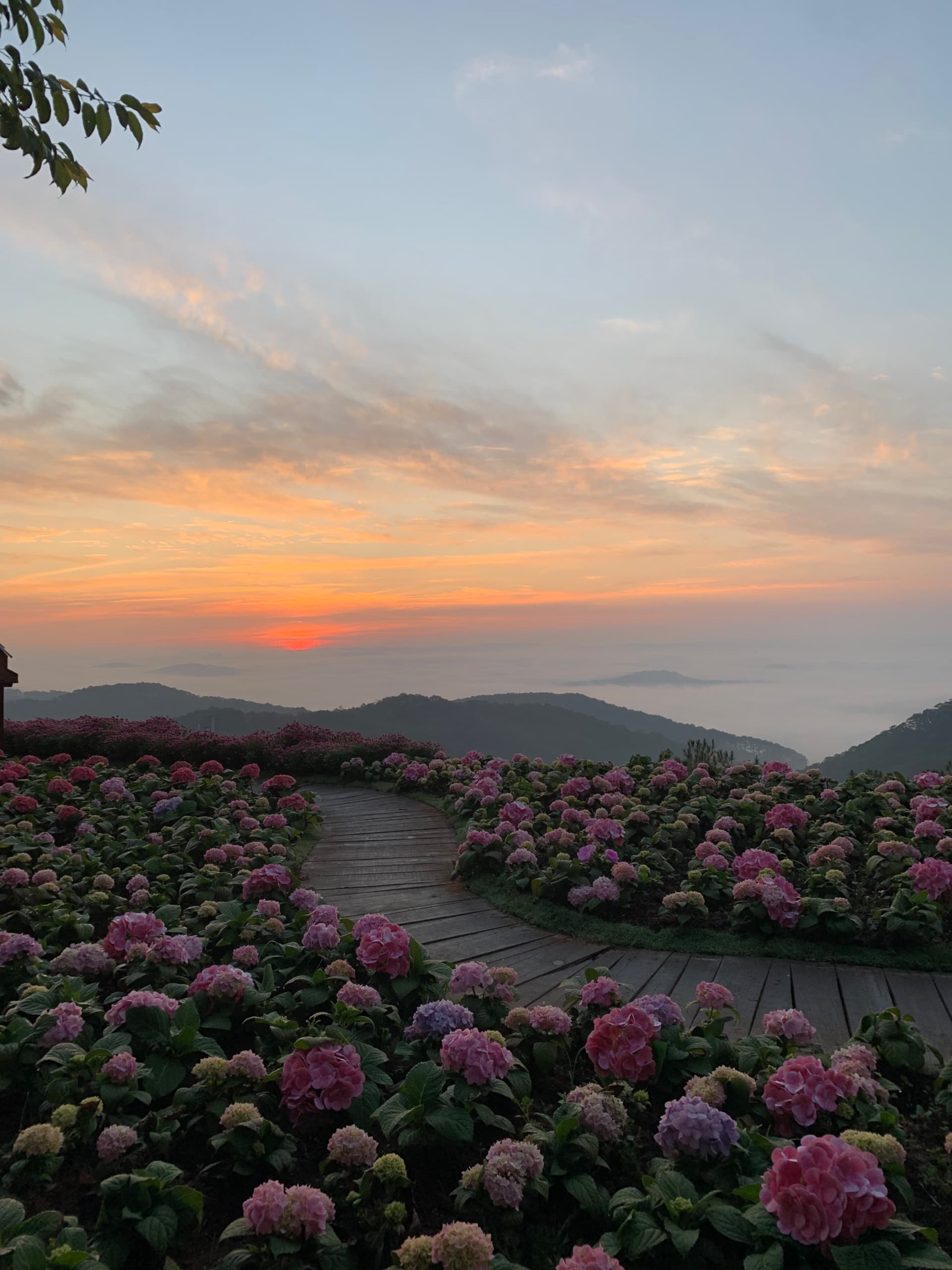 Cloud hunting - Săn Mây ngay trung tâm