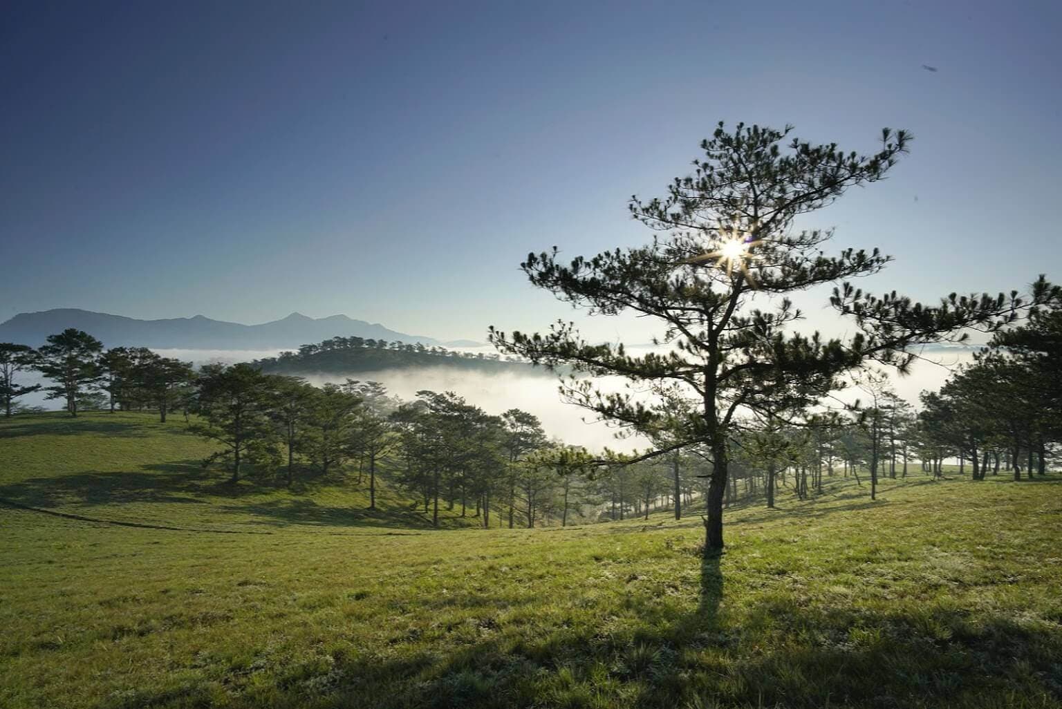 Hiking to Da Phu Hill - Đi dã ngoại tại đồi Đa Phú