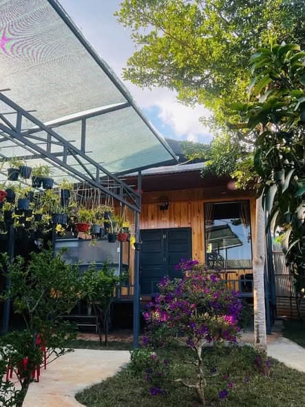 The Harmony Homestay - Wooden Bungalows