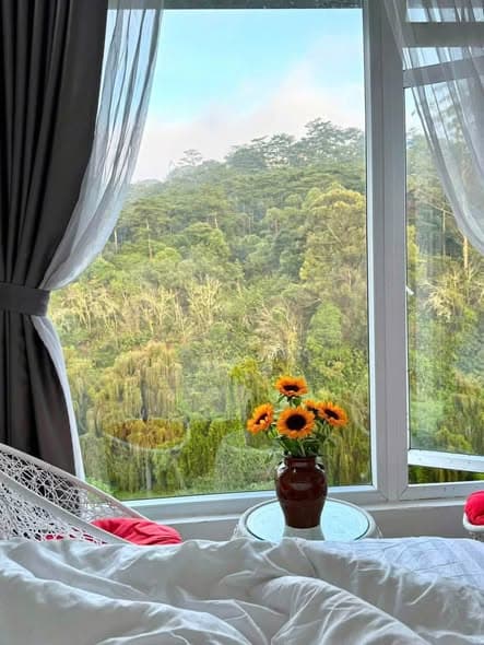 Four-Bedroom Whole House on Nguyen Sieu with Pine Views