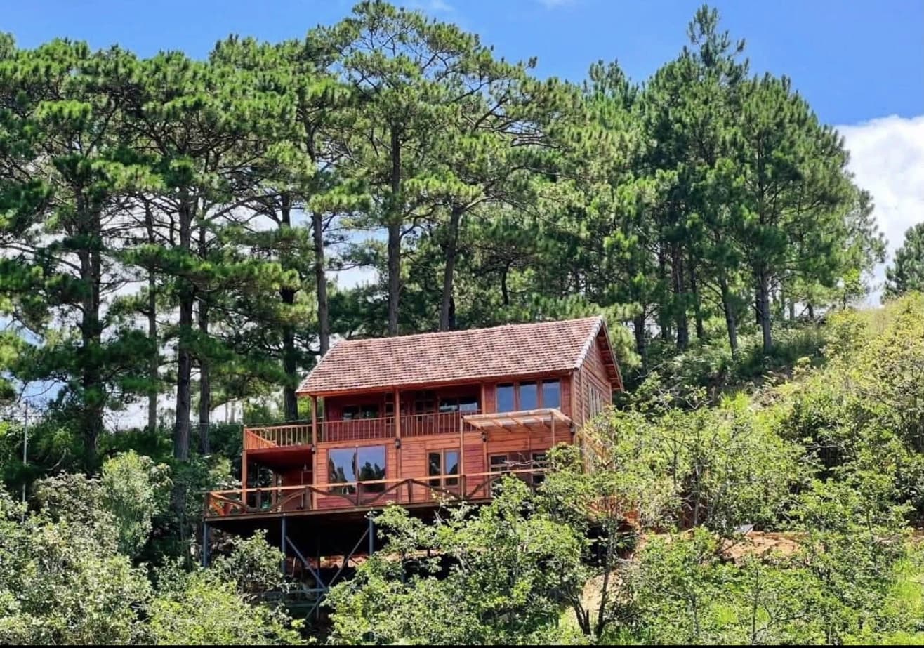 Warm Wooden Home in the Pines