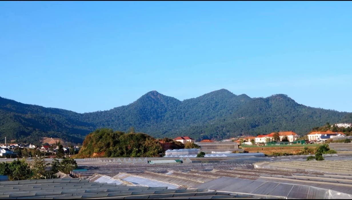 Son's House with Langbiang Mountain View